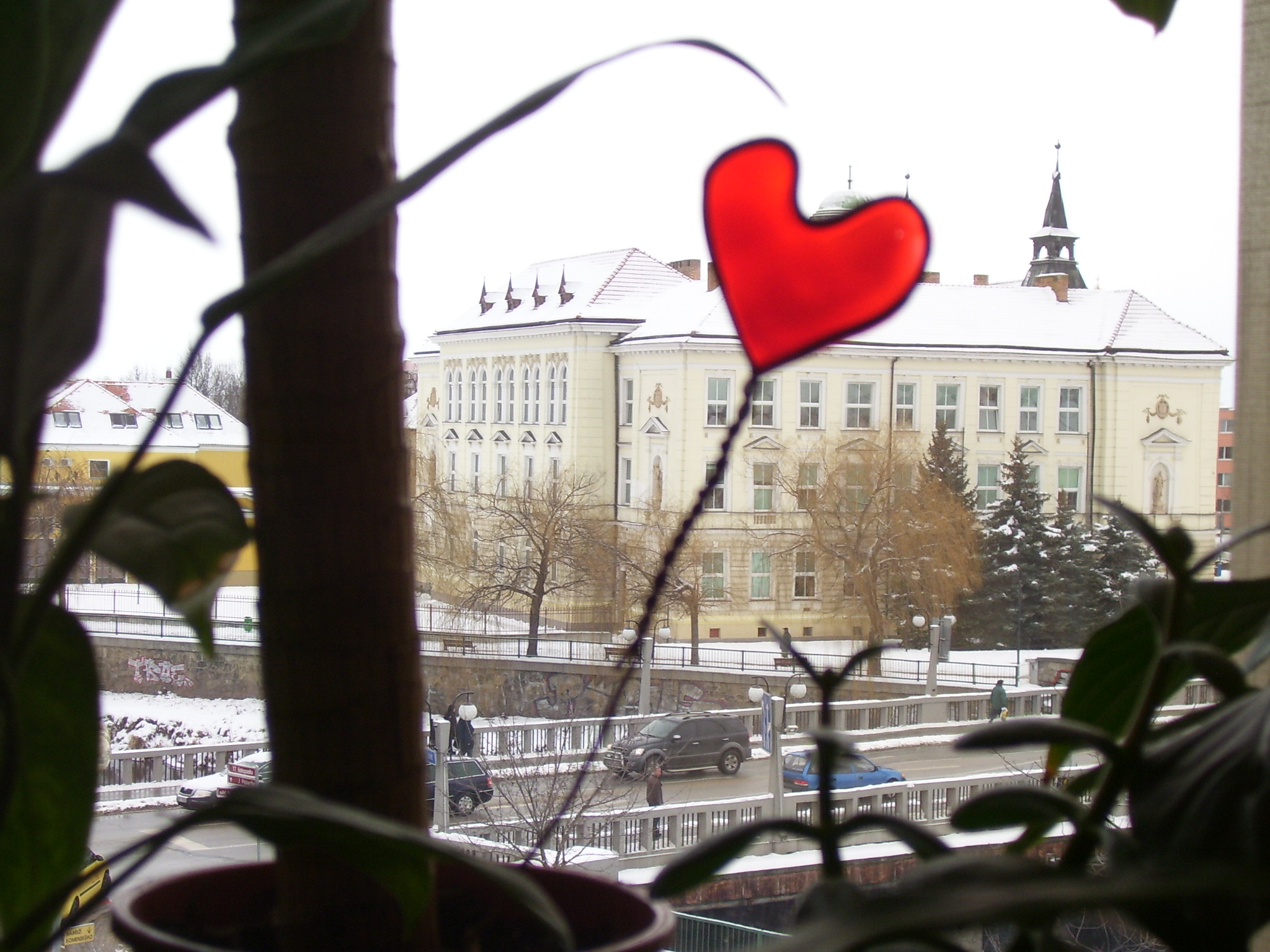 100_7749.jpg