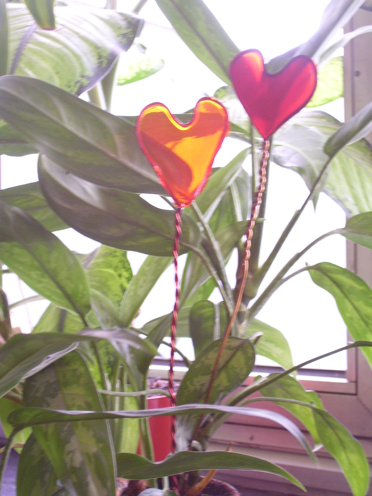 100_7750.jpg